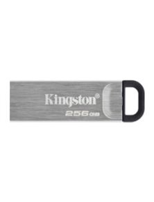 Pendrive Kingston 256Gb USB-A 3.0 Plata (DTKN/256GB)