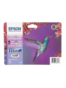 EPSON CARTUCHO TINTA T0807 VALUE PACK 6 COLORES